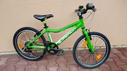 Superior junior Panda 20"