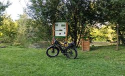 Electric bike Radrhino 5 (2020 model)
