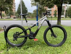 Elektrokoo Specialized Levo 2018