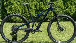 Stumpjumper ST Comp Carbon 29