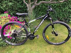 Cannondale 29 Trail 5